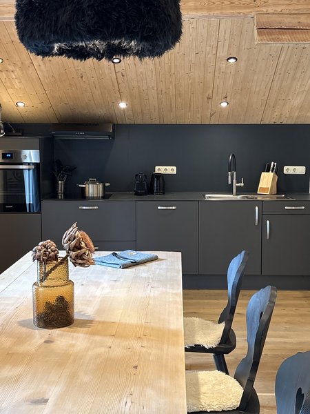 Open living kitchen in the MOChalet